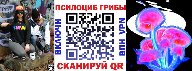 Галлюциногенные грибы Psilocybe  кракен зеркало  Трёхгорный  купить наркотики сайты 